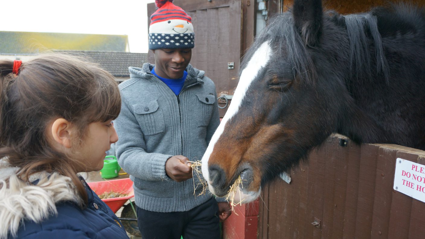 Animal & Canine Assisted Therapy