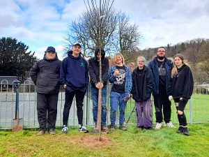 Tree planting