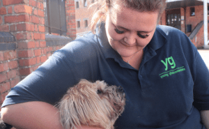 Canine Therapy’s Healing Touch with Abi and Maisie at Young Gloucestershire